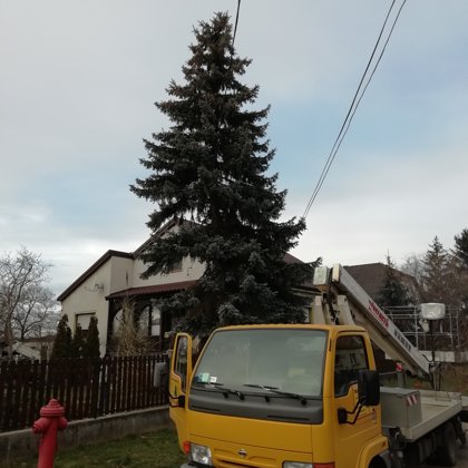 Emelőkosaras favágás