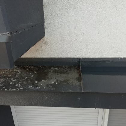 galambtüske felhelyezése