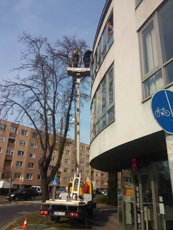 Sopron Avadoo design studio beázás elhárítása