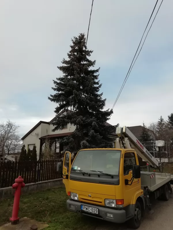 Emelőkosaras favágás