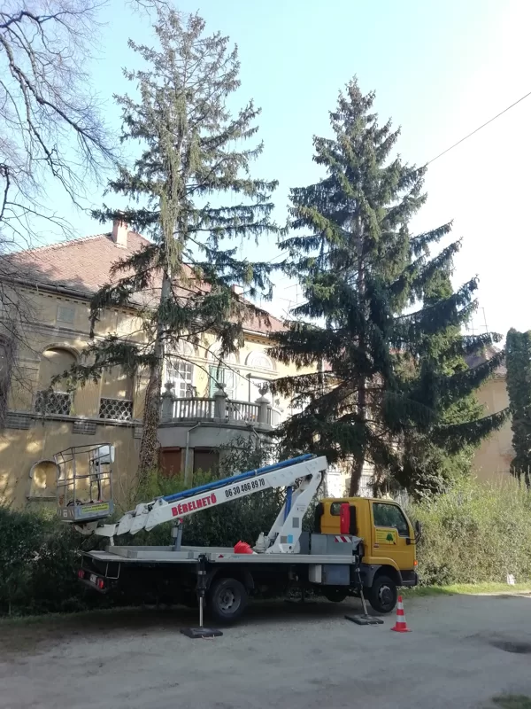 Kosaras autó bérlés Szombathely