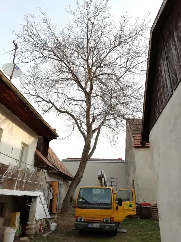 Győr kosaras autó