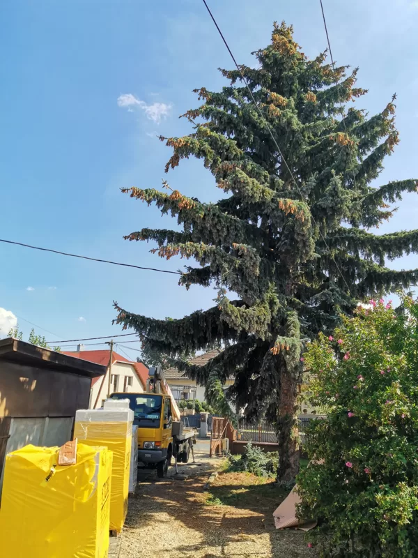 Kosaras autó bérlés Bük